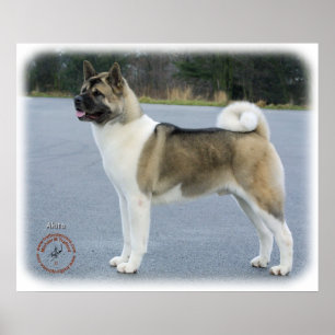 Affiches Akita 8P004D-12