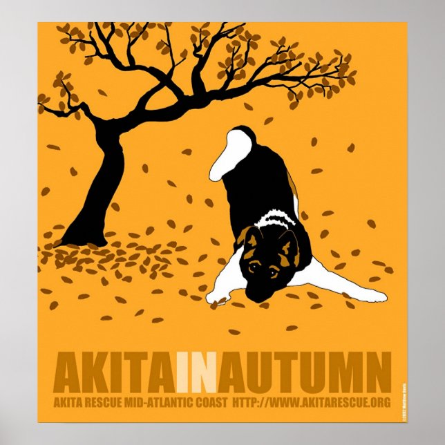 Affiches Akita à l'automne (18 po x 19,5 po) (Devant)