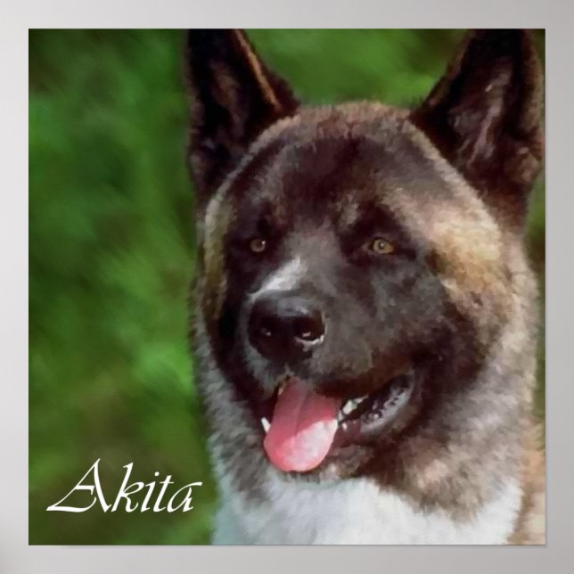 Affiches Akita Art Imprimer Cadeaux (Devant)