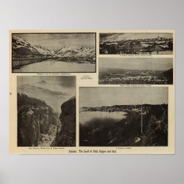 Affiches Alaska 7 (Devant)