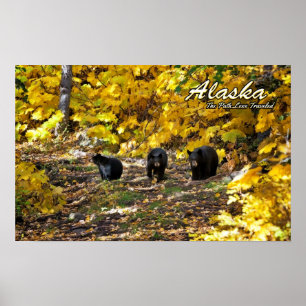 Affiches Alaska Le Chemin Moins Voyagé
