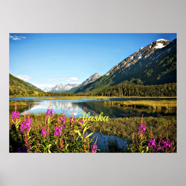 Affiches Alaska pittoresque, étiqueté (Devant)