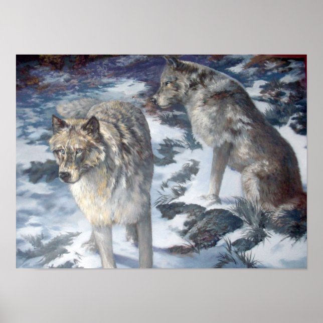 Affiches Alaska Wolf Pair dans l'affiche d'hiver (Devant)