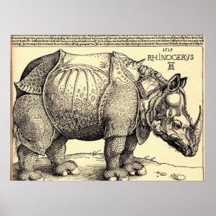 Affiches Albrecht Durer Esquisse