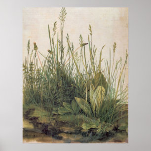 Affiches Albrecht Durer Grande pièce de pelouse