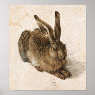 Affiches Albrecht Dürer - Junger Hase (jeune lièvre), 1502