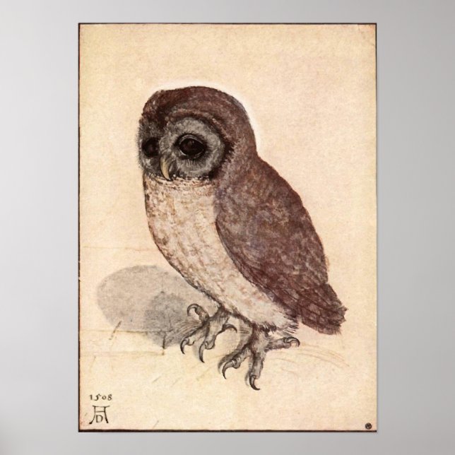 Affiches Albrecht Durer Little Owl (Devant)