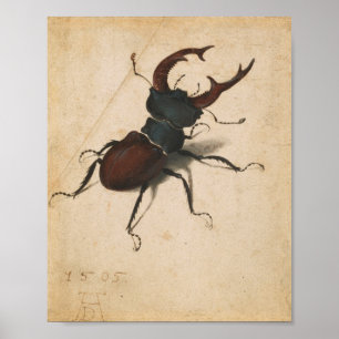 Affiches Albrecht Durer Stag Beetle Renaissance Art Vintage