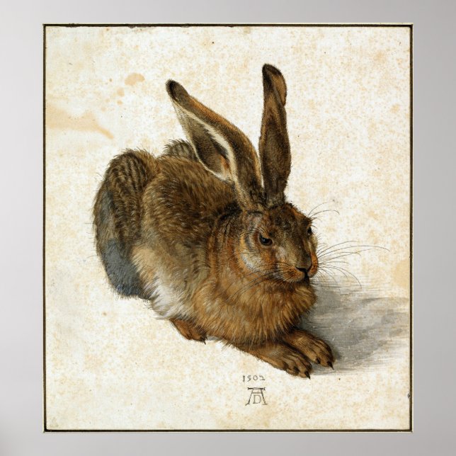 Affiches ALBRECHT DÜRER - Young hare 1502 (Devant)