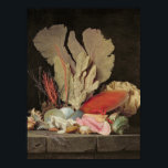 Affiches Algues, lithophytes et coquillages<br><div class="desc">Algues,  lithophytes et coquillages | par Anne Vallayer-Coster | Lieu de l'art : Louvre,  Paris,  France | Artiste français | Numéro de collection d'images : XIR154653</div>