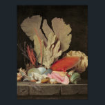 Affiches Algues, lithophytes et coquillages<br><div class="desc">Algues,  lithophytes et coquillages | par Anne Vallayer-Coster | Lieu de l'art : Louvre,  Paris,  France | Artiste français | Numéro de collection d'images : XIR154653</div>