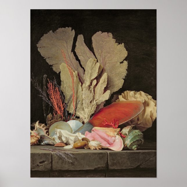 Affiches Algues, lithophytes et coquillages (Devant)