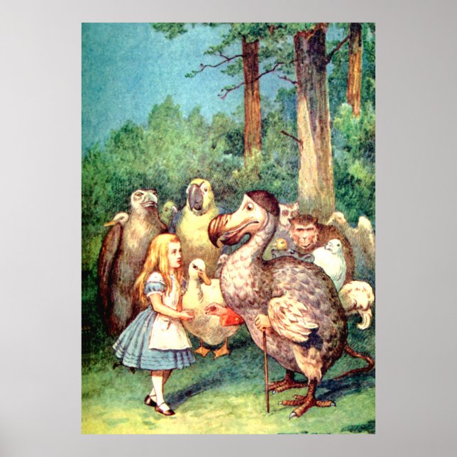 Affiches Alice et Dodo Bird au pays des merveilles (Devant)