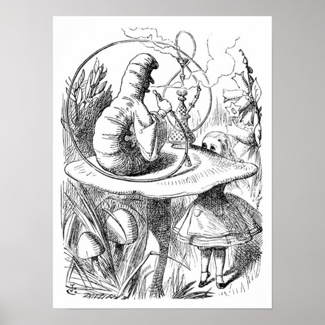 Affiches Alice et la Caterpillar (Devant)