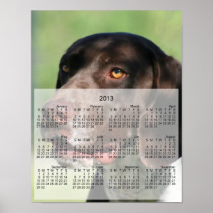 Affiches Allemand Pointeur court chien 2013 calendrier impr