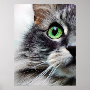 Affiches Allie (demi-face)