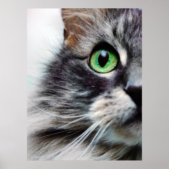 Affiches Allie (demi-face) (Devant)