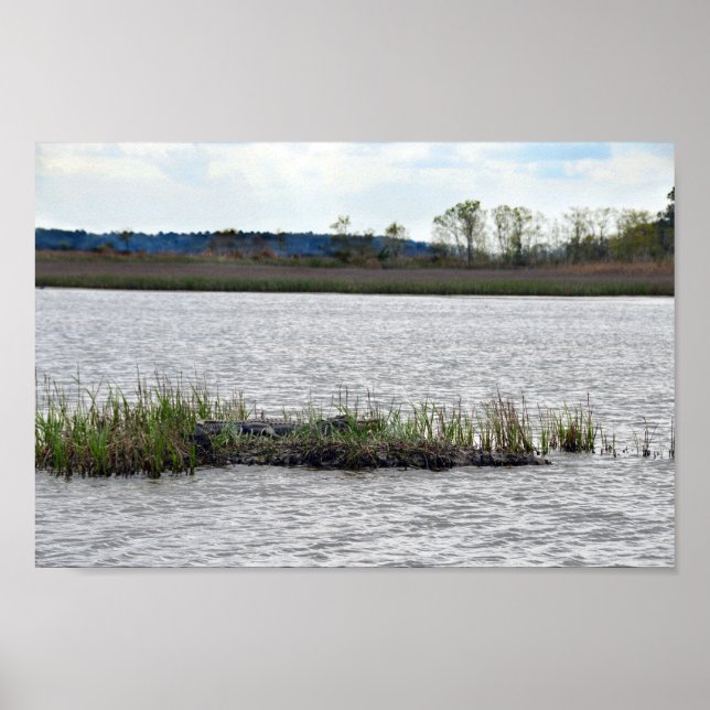 Affiches Alligator à Bear Island, Caroline du Sud (Devant)