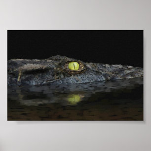 Affiches Alligator américain