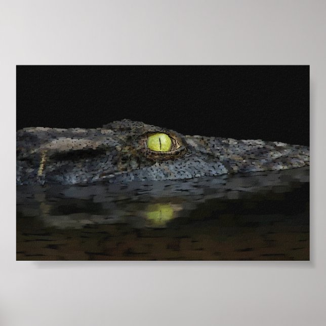 Affiches Alligator américain (Devant)