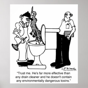 Affiches Alligators comme nettoyeurs à sec