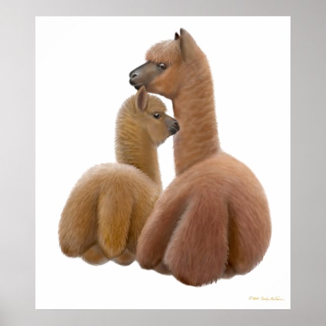 Affiches Alpaca Love Print (Devant)