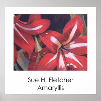 Affiches Amaryllis