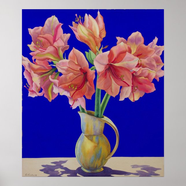 Affiches Amaryllis dans une jug 2007 (Devant)