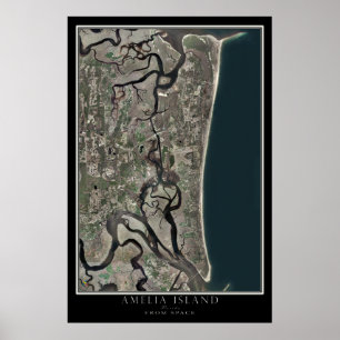 Affiches Amelia Island Floride De L'Espace Carte Satellite