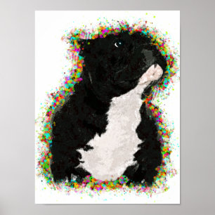 Affiches American Bully Colorée Pop Art