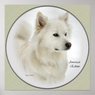 Affiches American Eskimo Dog Cadeaux Art