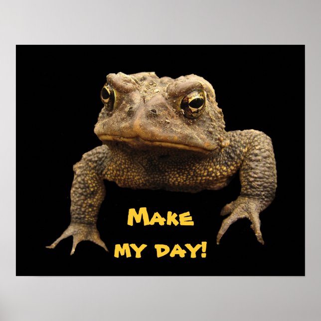 Affiches American Toad (Devant)