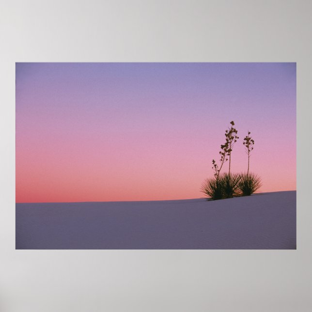 Affiches Amérique du Nord, Amérique, Nouveau-Mexique, Blanc (Devant)