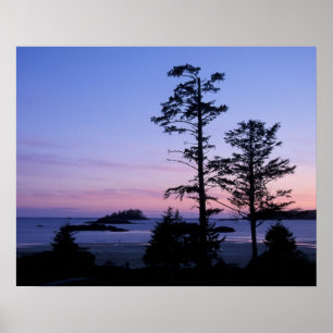 Affiches Amérique du Nord, Canada, île de Vancouver, arbres