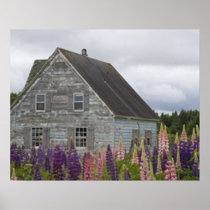 Affiches Amérique du Nord, Canada, Île-du-Prince-Édouard