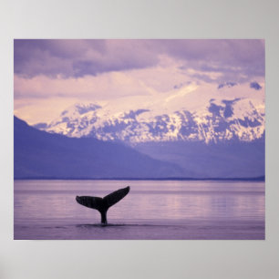 Affiches Amérique du Nord, États-Unis, Alaska, Passage inté