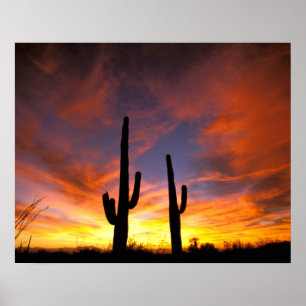 Affiches Amérique du Nord, États-Unis, Arizona, désert de S