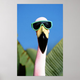 Affiches Amérique du Nord, USA, Californie, San Diego. Mer