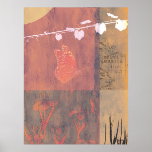 Affiches Amérique du Sud