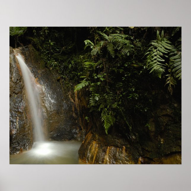 Affiches Amérique du Sud, Equateur, versant est de (Devant)