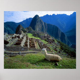 Affiches Amérique du Sud, Pérou. Un lama repose sur une col
