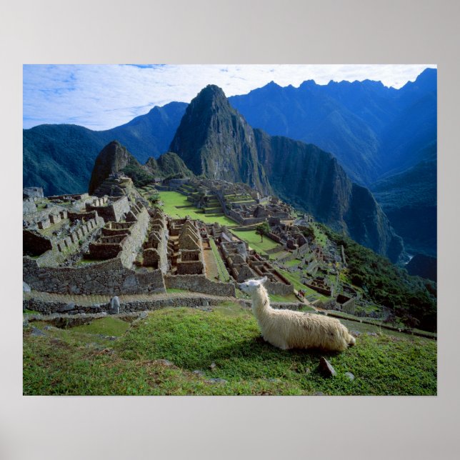Affiches Amérique du Sud, Pérou. Un lama se repose sur une  (Devant)