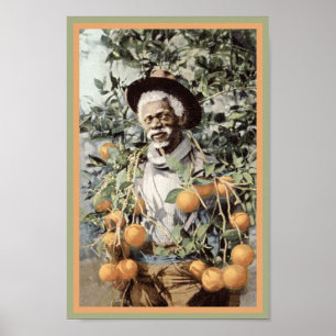 Affiches Amérique Noire Vintage Nan à Orange Grove