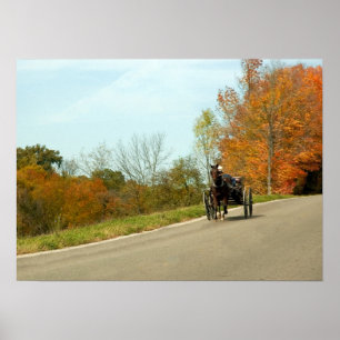 Affiches Amich Buggy Print