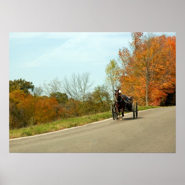Affiches Amich Buggy Print (Devant)