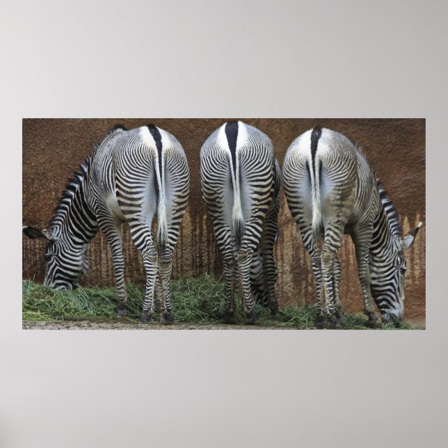 Affiches Amis (Devant)