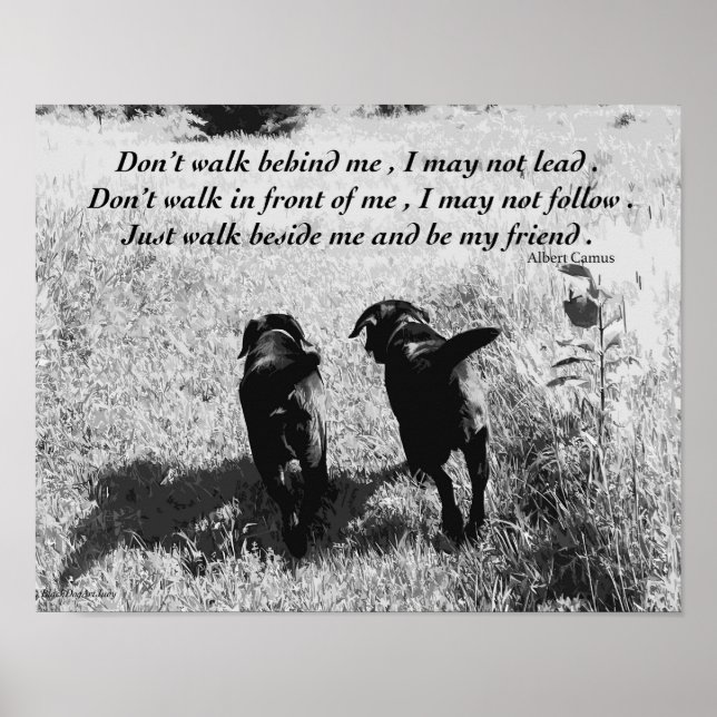 Affiches Amis - Black Lab (Devant)