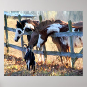 Affiches Amis de la clôture