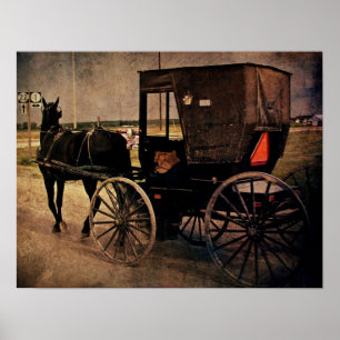 Affiches Amish Buggy