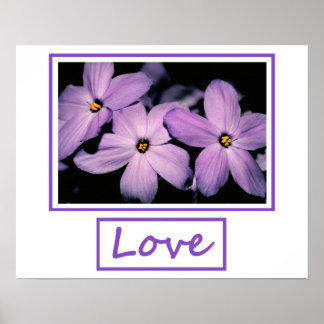 Affiches Amour
